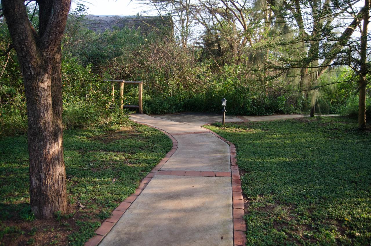 נקורו Ziwa Bush Lodge מראה חיצוני תמונה