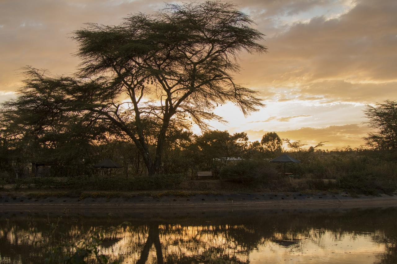 נקורו Ziwa Bush Lodge מראה חיצוני תמונה